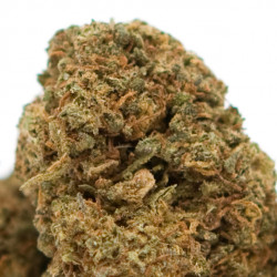 Fleur-Orange-Bud-Cbd-Greenhouse-100g