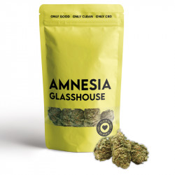 Fleur-Cbd-Amnesia-Cbd-Glasshouse-Only-Cbd